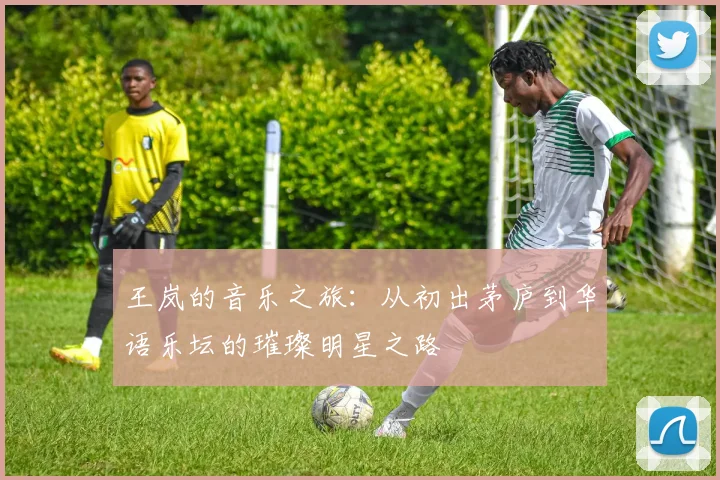 王岚的音乐之旅：从初出茅庐到华语乐坛的璀璨明星之路