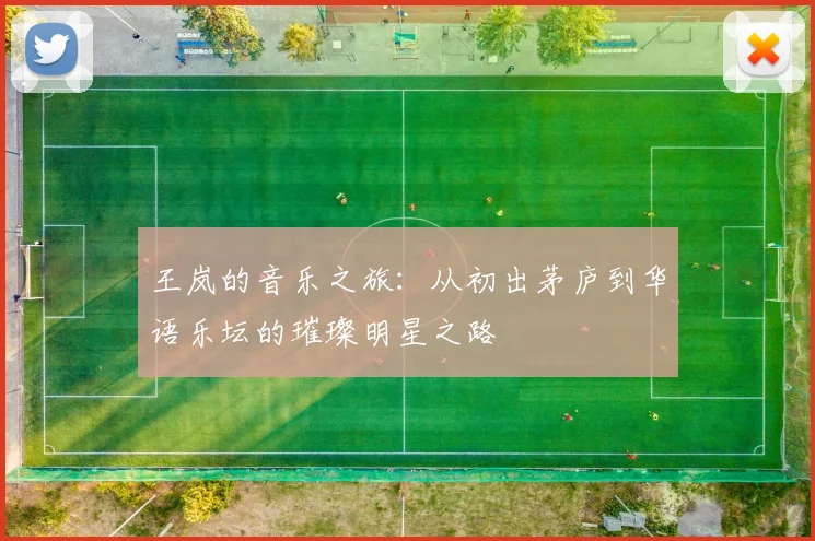 王岚的音乐之旅：从初出茅庐到华语乐坛的璀璨明星之路