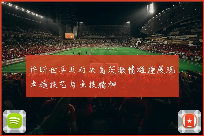 许昕世乒乓对决高茨激情碰撞展现卓越技艺与竞技精神