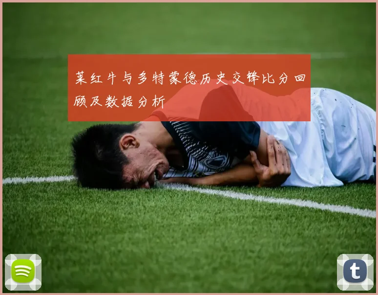 莱红牛与多特蒙德历史交锋比分回顾及数据分析