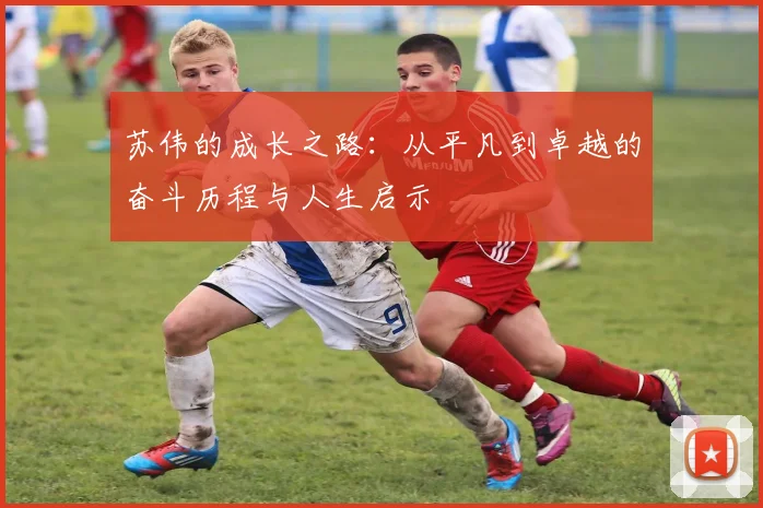 苏伟的成长之路：从平凡到卓越的奋斗历程与人生启示