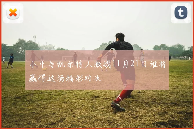 小牛与凯尔特人激战11月21日谁将赢得这场精彩对决