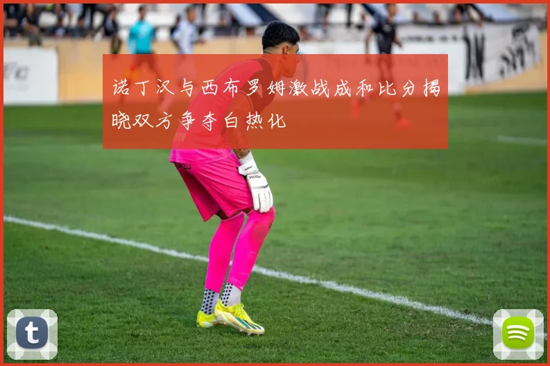 诺丁汉与西布罗姆激战成和比分揭晓双方争夺白热化