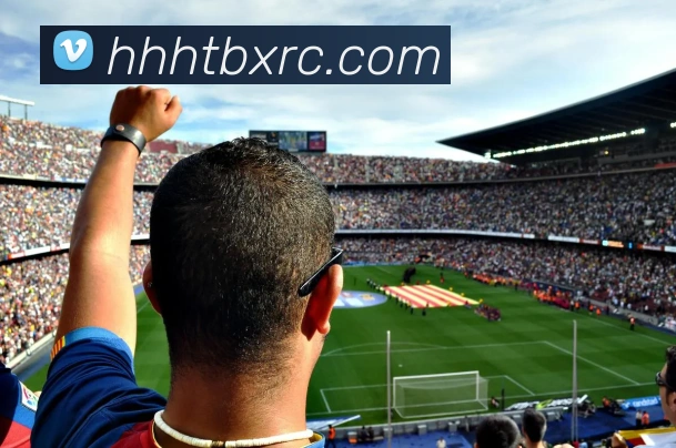 谈球吧平台生态图